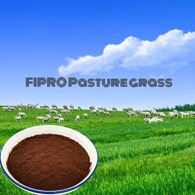 Micro Granulated Amino Acid Fertilizer Powder