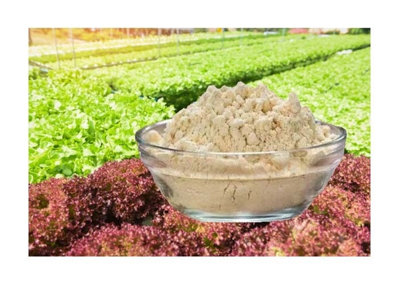 Hydrolyzed Soy Protein Plants Fertilizer Powder Non Dirtying 3101009010