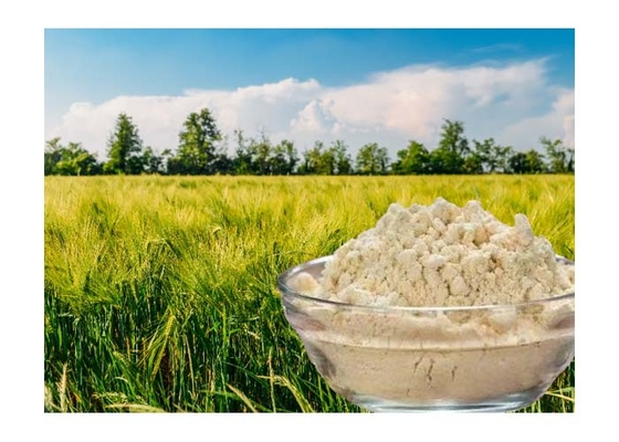 S20 Soy Protein Hydrolysate Soybean Meal Soil Amendment Powder