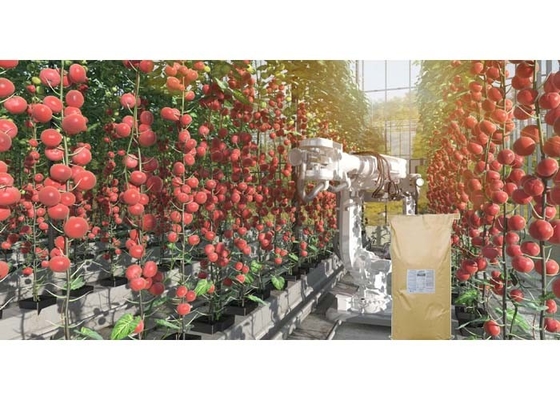 Water Soluble Fish Hydrolysate Powder Organic Nitrogen Fertilizer ISO9001