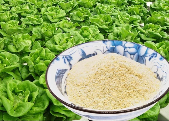 Horticultural Crops Hydrolyzed Soy Protein Plants Fertilizer Powder 13-0-0