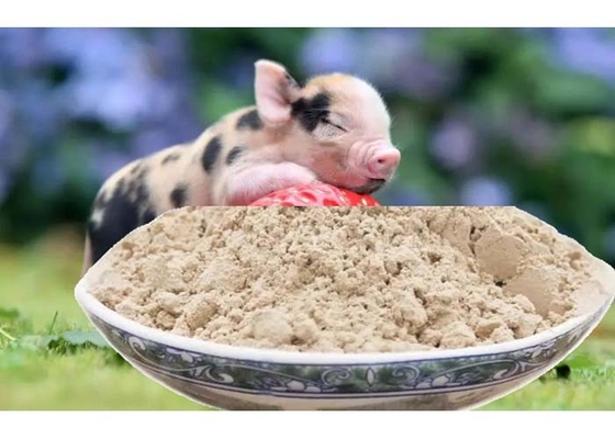 Highly Digestible Palatable Protein Spray Dried Plasma Swine Feed Additives Neutral