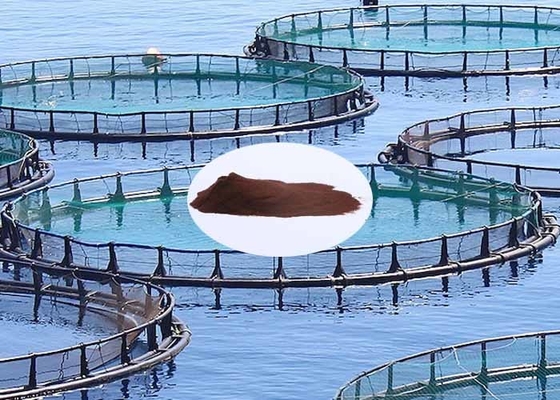 Aquafeed Use Fish Feed Additives Amino Acids Blood Cell Powder