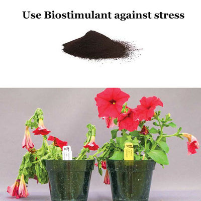 Animal Derived Biostimulant Amino Acid Fertilizer Obtained By Enzymatic Hydrolysis