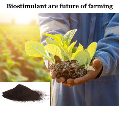 Animal Derived Biostimulant Amino Acid Fertilizer Better Than Seaweed Extract