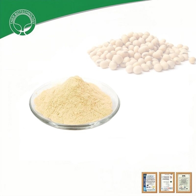 Certified Granular Organic Fertilizer Powder Organic Fertilizer Compound for Plant Growth