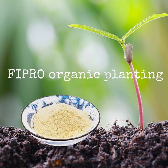 Pure Dry Hydrolyzed Fish Protein Organic Fish Fertilizer Powder Water Soluble