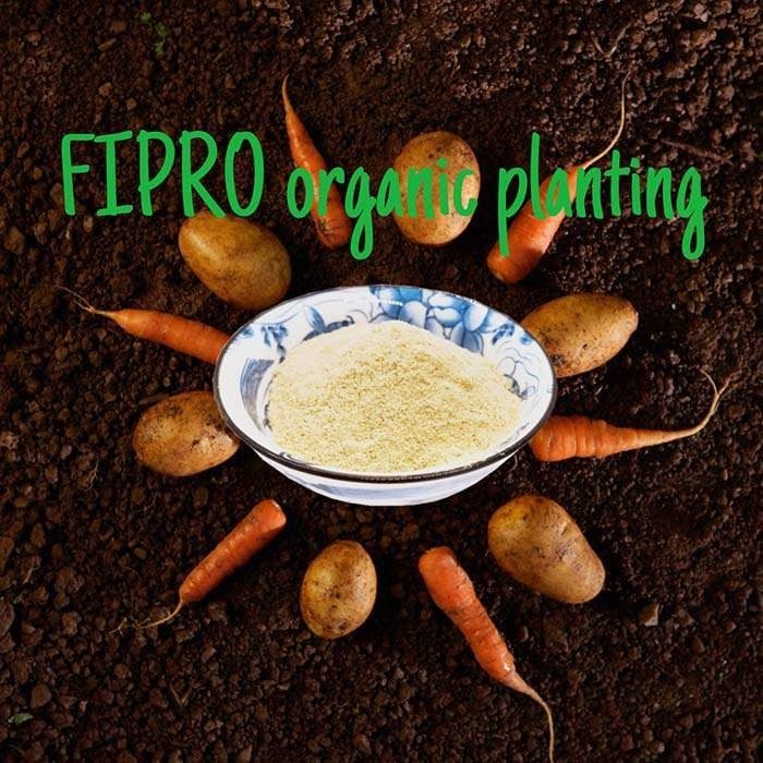 Pure Enzymatic Hydrolyzed Fish Protein Organic Fertilizer Powder Water Soluble